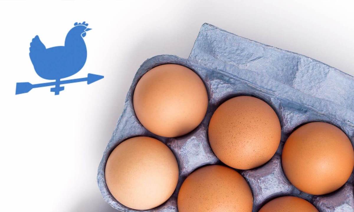 Merchant Stories: The Egg Carton Store